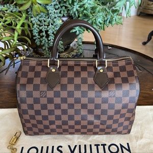 Louis Vuitton Speedy 30 Damier Ebene